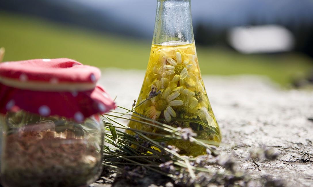 Wiesenkräuterführung @Joe Hoelzl