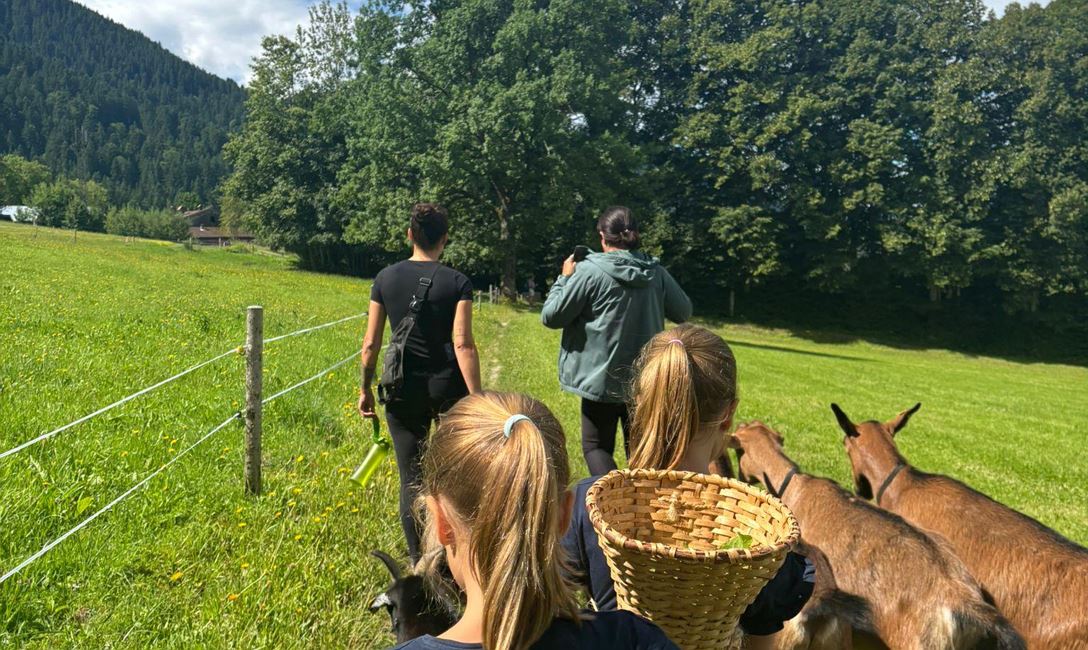 Auf Schatzsuche mit Nico und seinen Fellfreunden