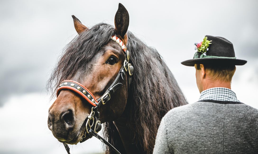 Mit der Pferdekutsche zum Achenstüberl
