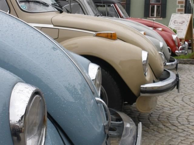 Käferweihe