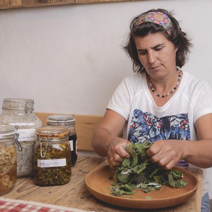 Guided walk 'our herbs' with workshop