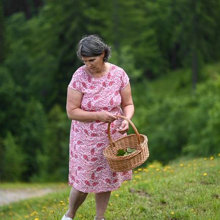Heilkräuterwanderung & Workshop mit Birgit Schwaiger