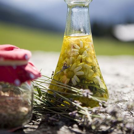 Von Natur aus g’sund - Wiesenkräuterführung in Hopfgarten