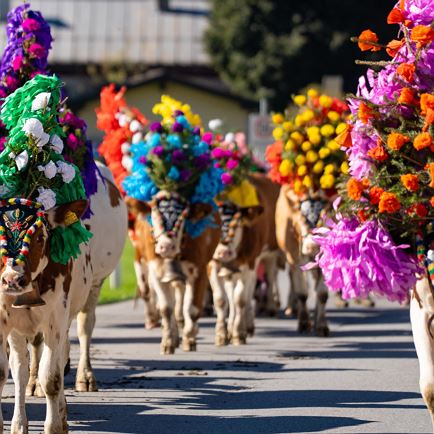 Almabtrieb in Kirchberg