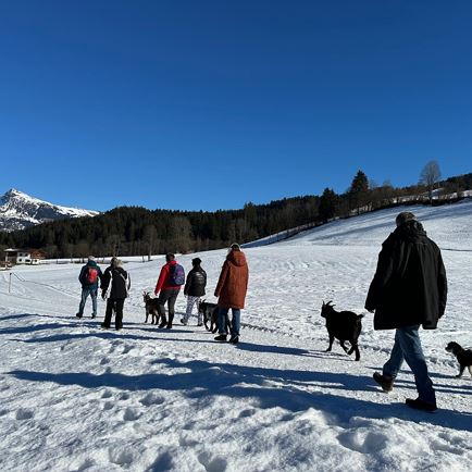 Familie winterwandeling met geiten