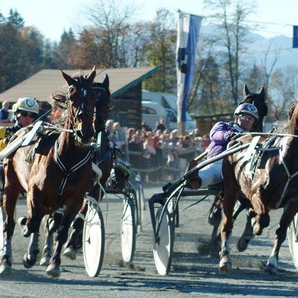 Paardenrennen op de drafrenbaan in Kirchberg