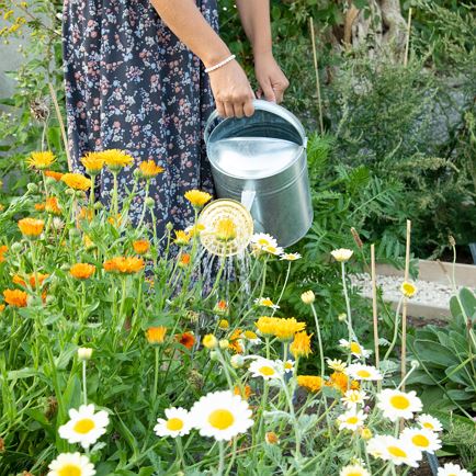 Glückskräuter Spaziergang