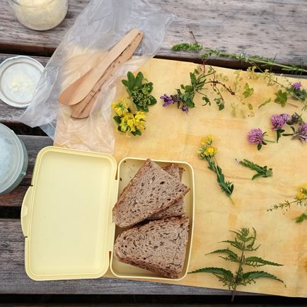 Guided walk 'our herbs' with Viktoria Niederseer