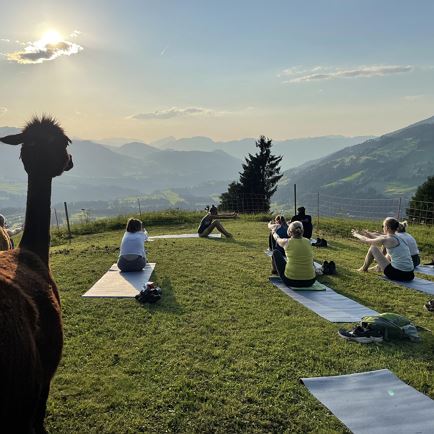 Alpaka Yoga