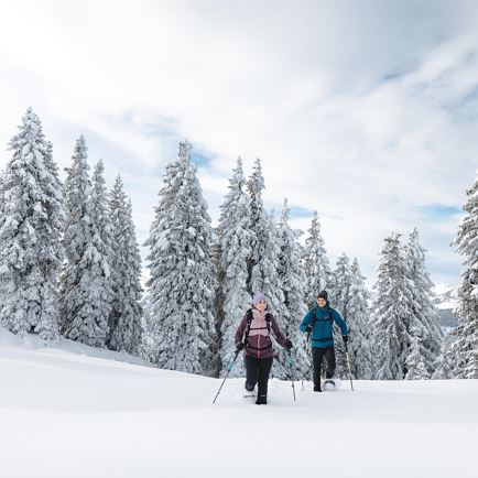 Sneeuwschoenenwandeling voor beginners Westendorf