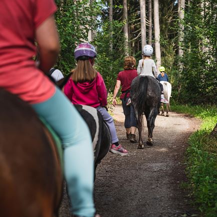 Kinderponytrekking