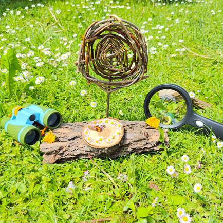 Kids program: Wild Wolfpack - Adventure Afternoon