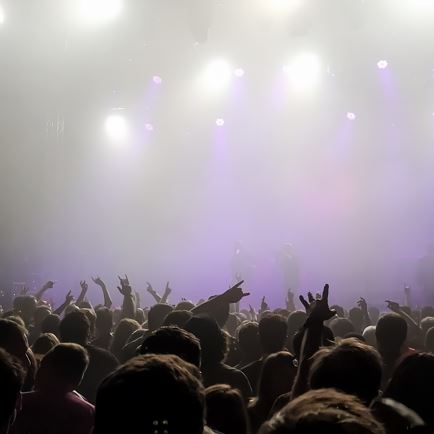 VZ Komma: Paleface Swiss