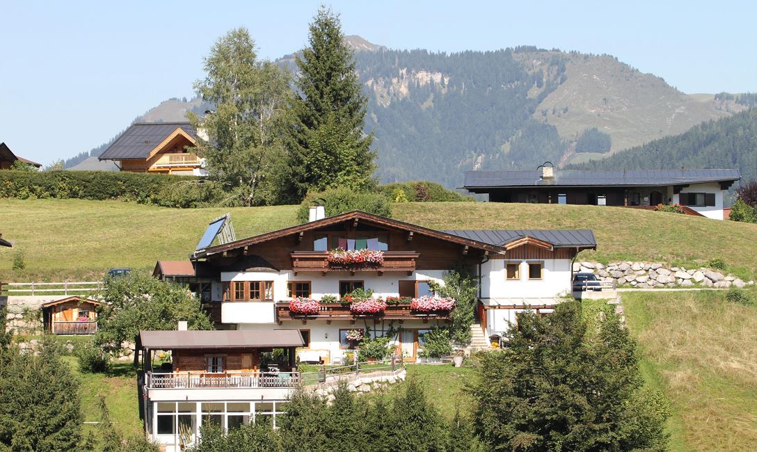 Ferienhaus Joel im Sommer