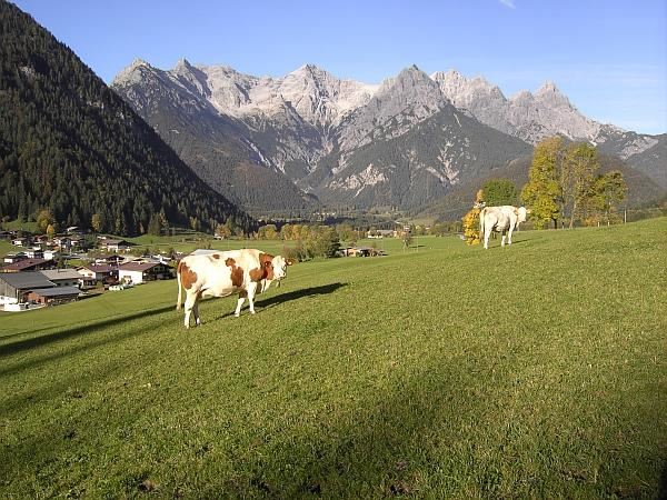Blick auf die Loferer Steinberge