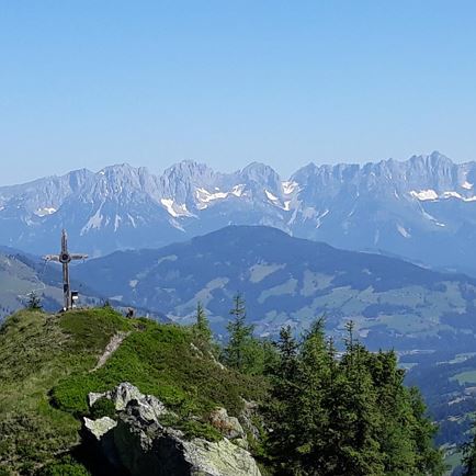 Spießnägel mit Kaisergebirge