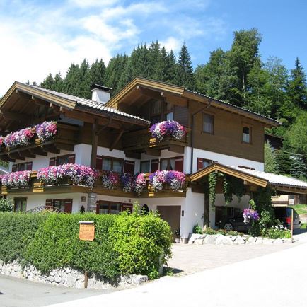 Ferienwohnung Niedermoser