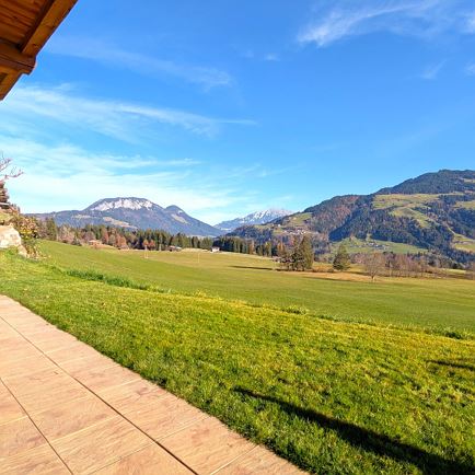 PXL_20251114_091506983.MP