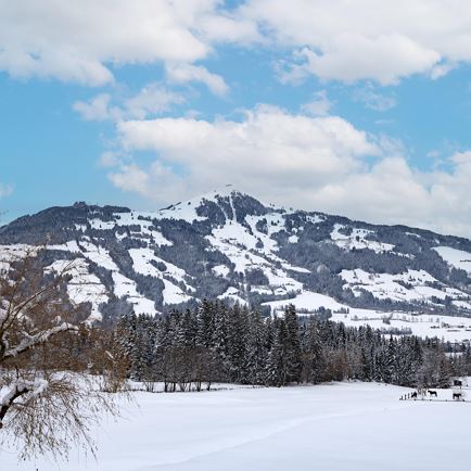 Aussicht auf die Hohe Salve (c) Hannes Dabernig