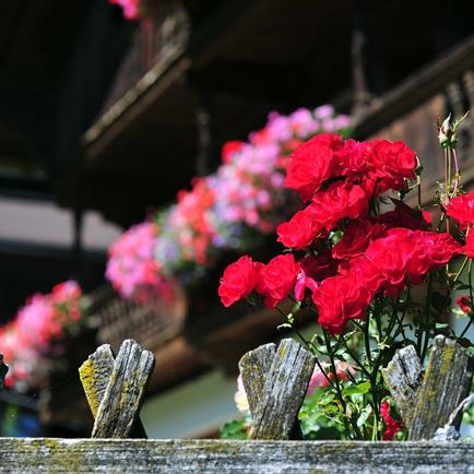 Bauernhof Untertraucha