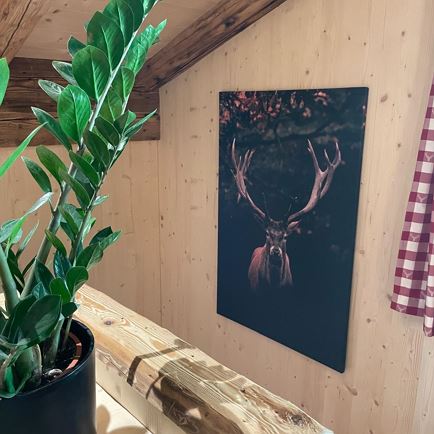 Detail (c) Florian Gastl