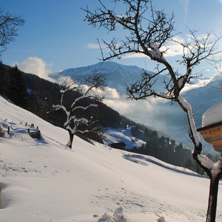 Hopfgarten_Siedlerhof_Winter
