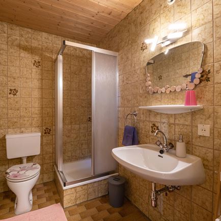 Landhaus_Alpenloewe_Einfangweg_4_Kirchberg_Apparte