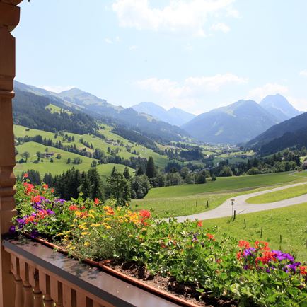 Hagauhof-Fuchs-Brigitte-Branzweg-14-Kirchberg-Auss