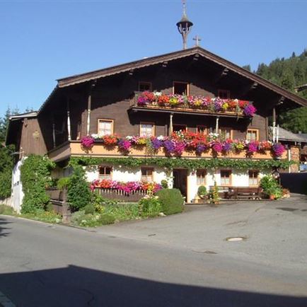 Sommeransicht mit Blumenpracht