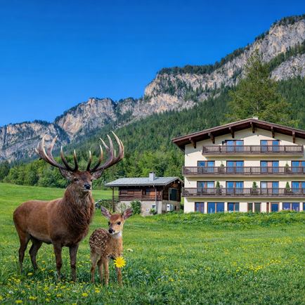 Berghof Haselsberger