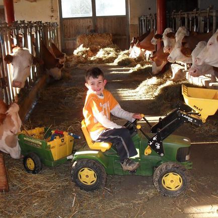 Kinder am Bauernhof III