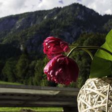 IMG_2212.klein - Kopie