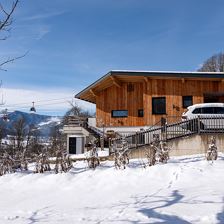 Alpenchalet_Zur_Hinterochsenweide_Ritschberg_3_Bri