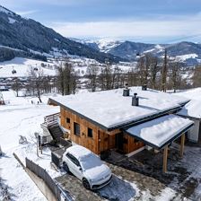 Alpenchalet_Zur_Hinterochsenweide_Ritschberg_3_Bri