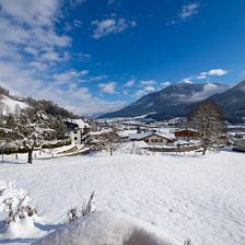 Alpenchalet_Zur_Hinterochsenweide_Ritschberg_3_Bri