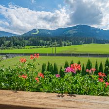 Innenbilder Apartments 4 zu 3 60� (11 von 24)