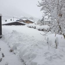 Garten Winteransicht