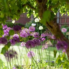 Grittlmuehle_Brixentalerstrasse_17_Brixen_05_2024_