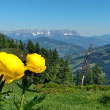 Blick Richtung Kaisergebirge