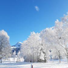 Blick zum Kitzbüheler Horn