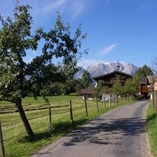 jpg.wanderweg-sommer