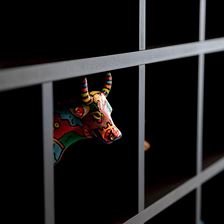 Additional Pictures_15