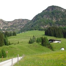 Hauseigene Alm