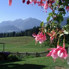 Ausblick vom Elsbichlhof