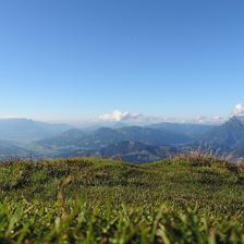 Natur Pur