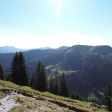 Natur Pur