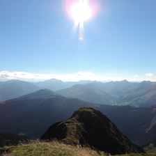 Natur Pur