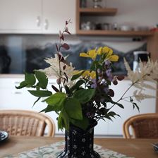 DSCF0485 (1)