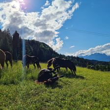 ab650d6b-ec3c-40e2-9c01-6a86ba586c0e