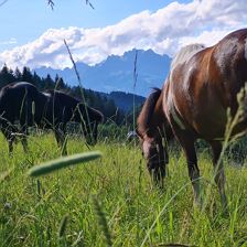 dc828a23-a4a6-41e1-969e-72c829933b72